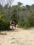 gal/Duathlon Saint-Jean de Monts/_thb_P1050527.JPG